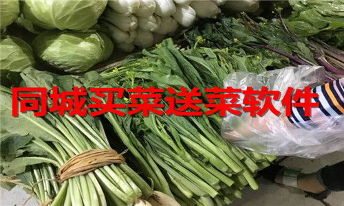 同城买菜送菜