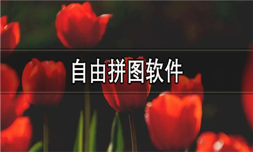 自由拼图