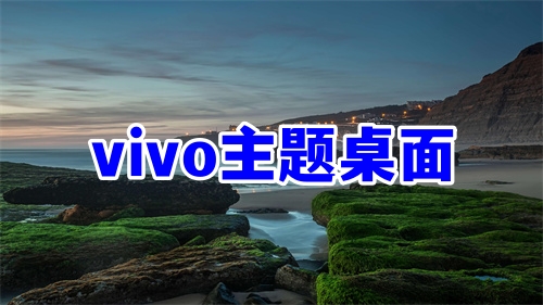 vivo主题桌面