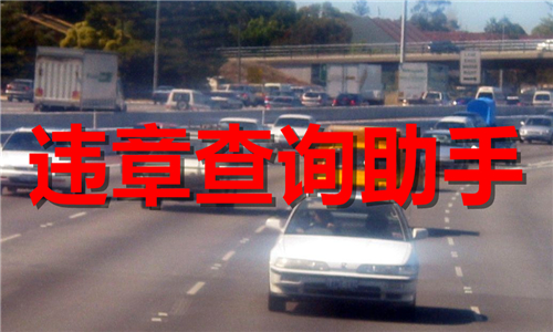 违章查询助手