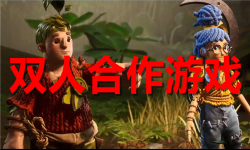双人合作