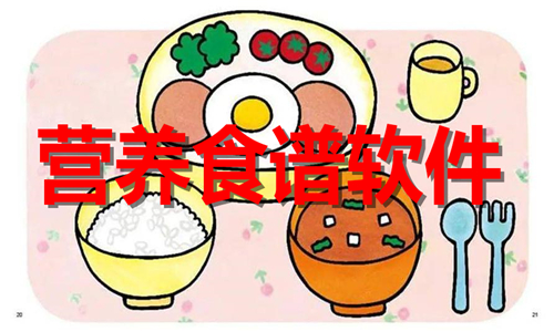 营养食谱