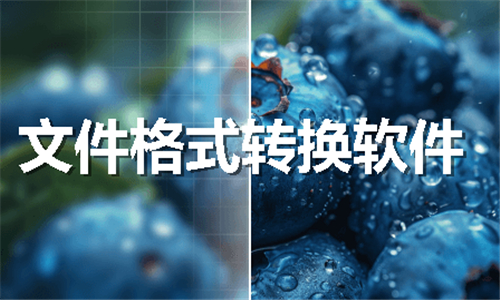 文件格式转换