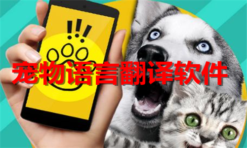 宠物语言翻译