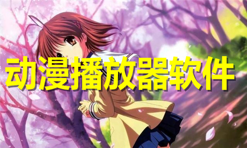 动漫播放器
