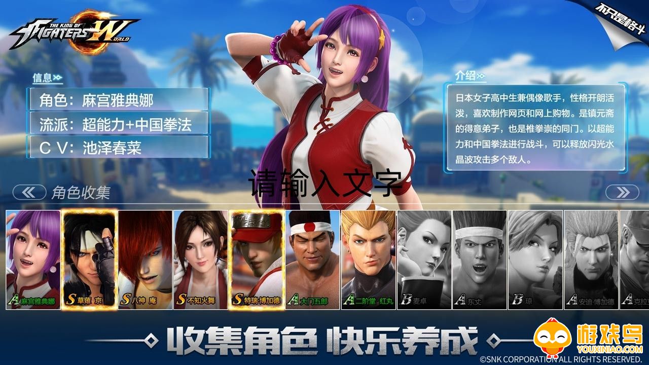 格斗养成游戏大全