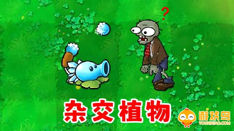 植物大战僵尸2杂交版合集
