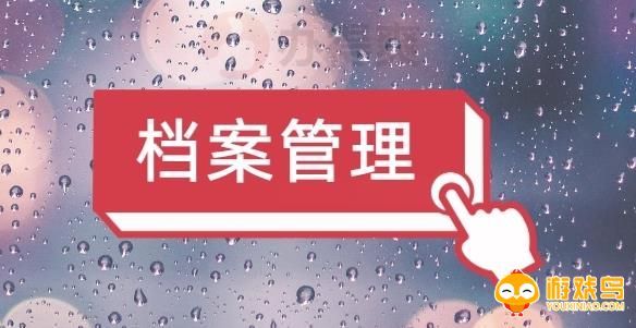 档案管理软件合集