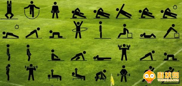 体育训练软件合集