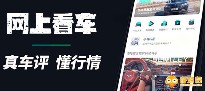 网上看车平台大全