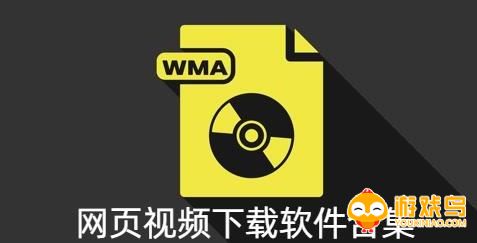 网页视频下载软件合集