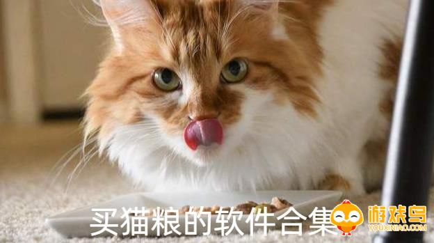 买猫粮的软件合集