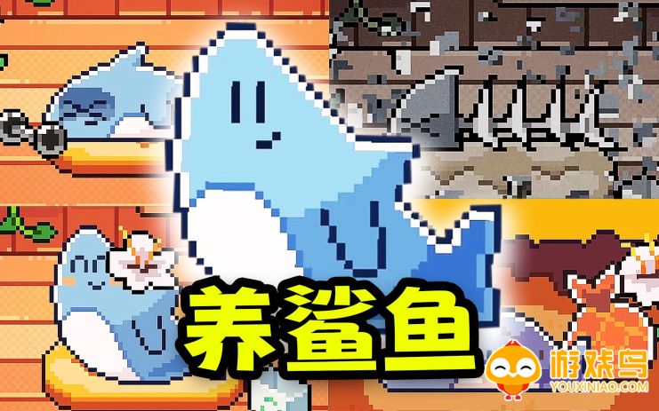 养鲨鱼的游戏合集