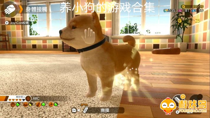 养小狗的游戏合集