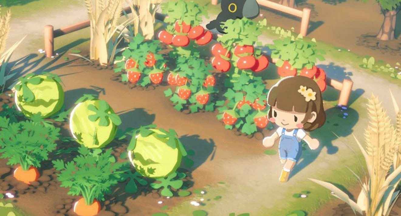puffpalsislandskies下载合集