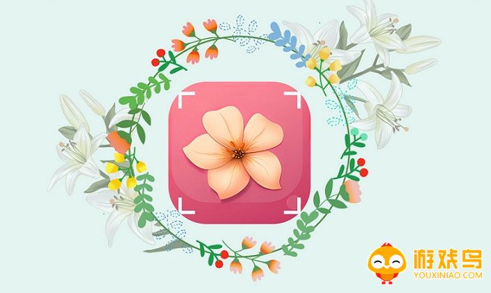 花卉识别软件大全