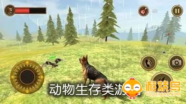 动物生存类游戏合集