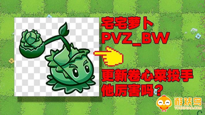 植物大战僵尸bw版合集