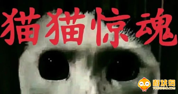猫猫惊魂4游戏大全