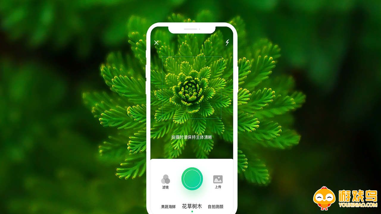 智能识图app大全