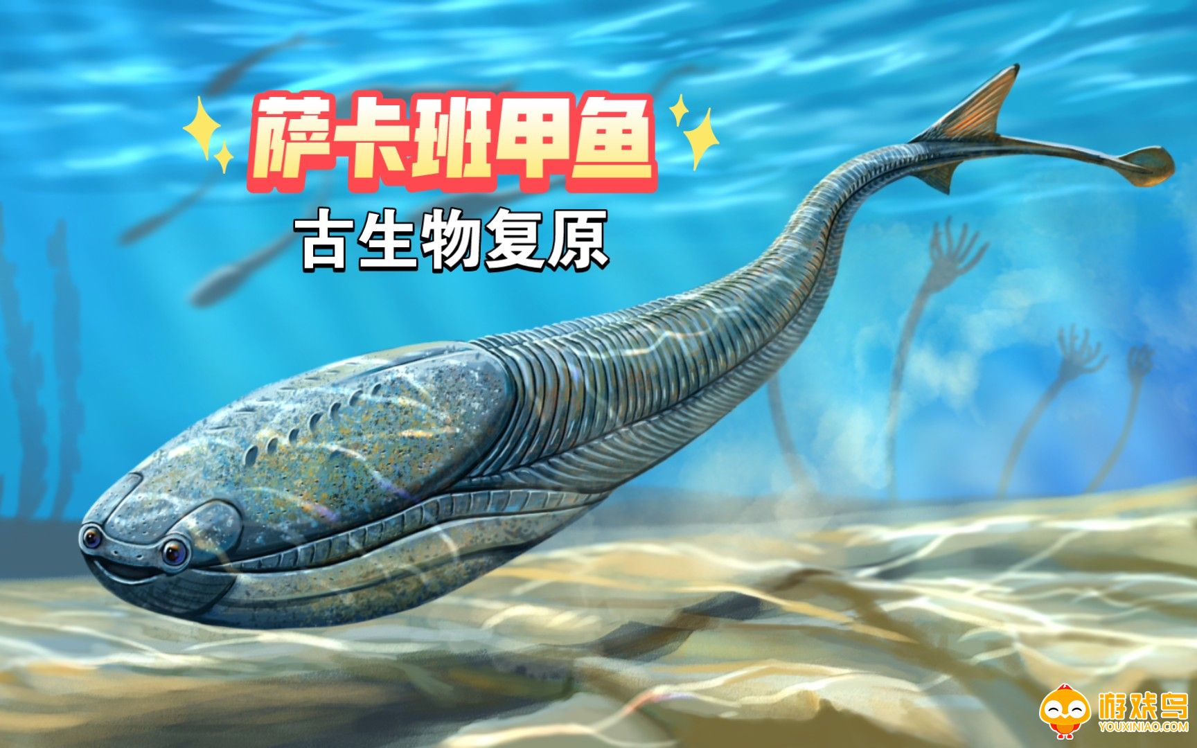 萨卡班甲鱼养成游戏合集