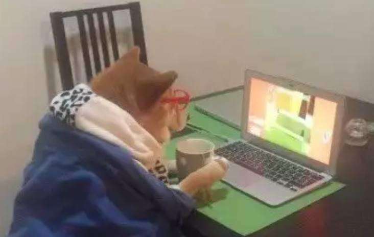 苹果免费观看电视剧的软件大全