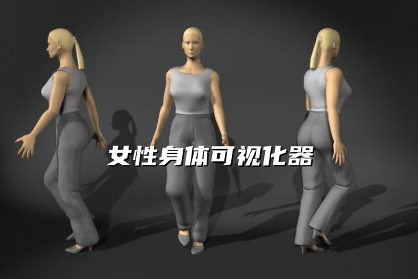 女性身体可视化合集