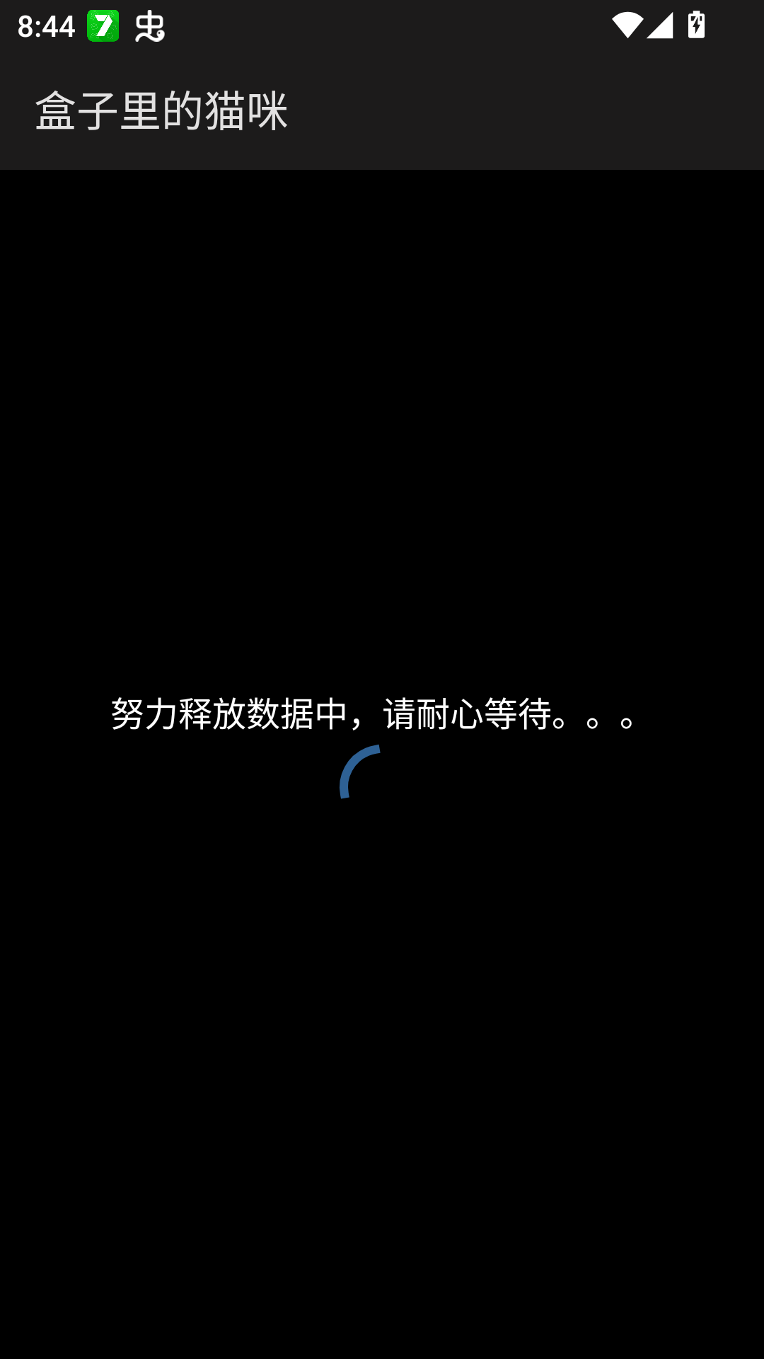 盒子里的猫咪