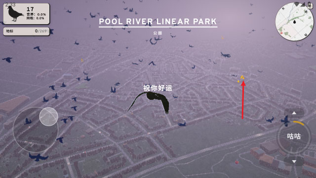 鸽子一段爱情故事