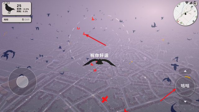 鸽子一段爱情故事