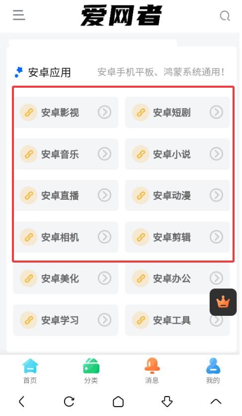 爱网者