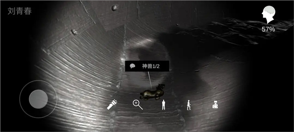 孙美琪疑案井底人