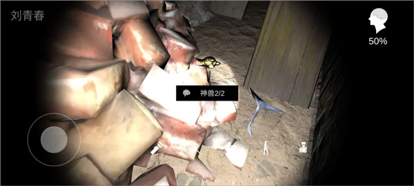 孙美琪疑案井底人