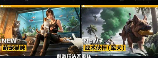 战宠系统实机演示画面