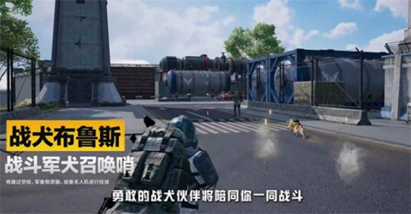 暴富指南活动奖励一览
