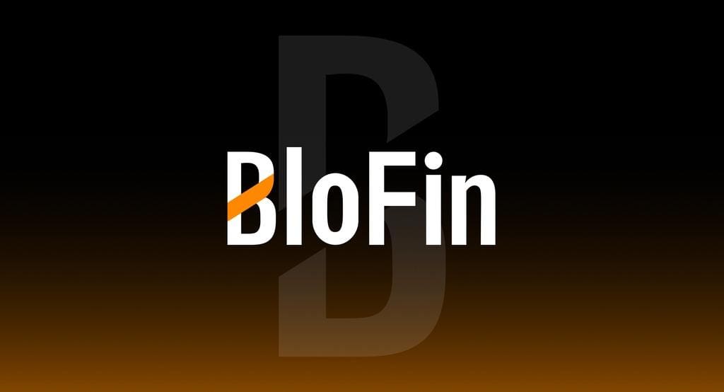 Blofin交易所深度评测:功能、安全性与真实体验分析 Blofin交易所深度评测:功能、安全性与真实体验分析