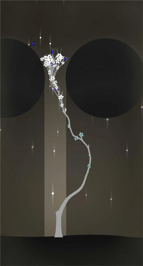 修剪艺术Prune