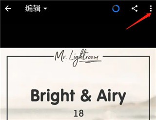 Lightroom创建预设