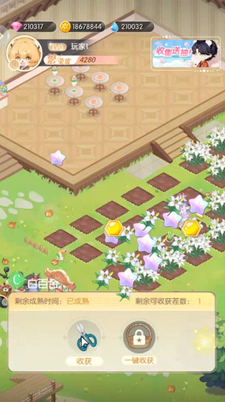明星花店