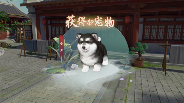 浮生忆玲珑国际版