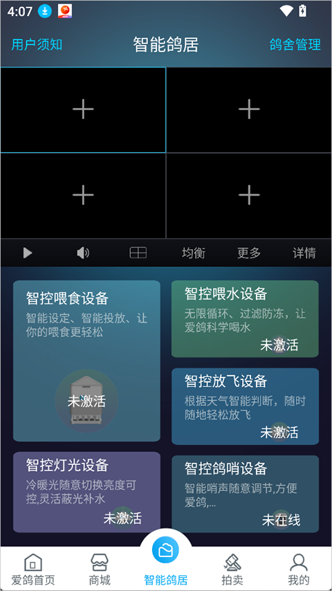 爱鸽者