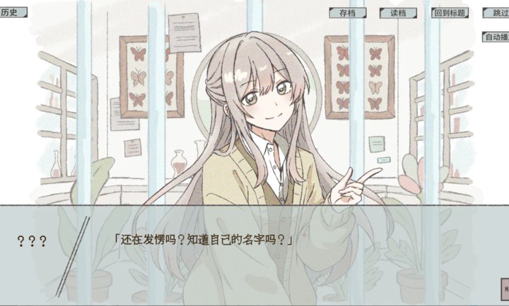 在标本箱中等待羽化