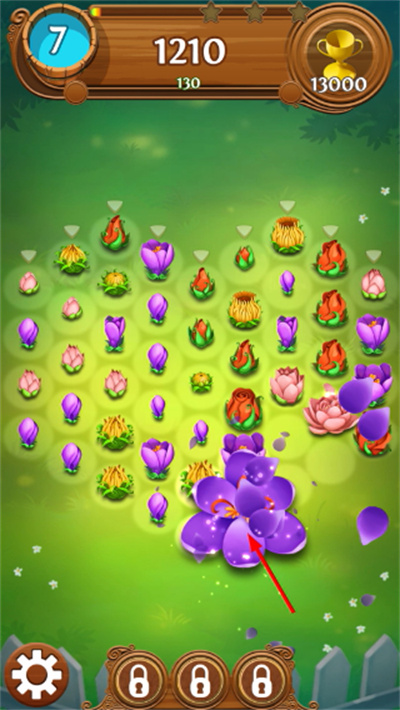 绽放花朵传奇