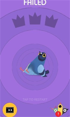 pigeonpop疯狂的鸽子
