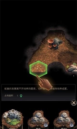 蚂蚁地下王国模拟器
