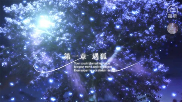 我上了狐狸精的身