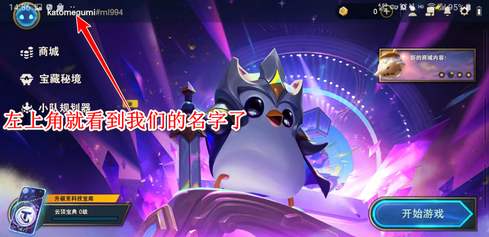 云顶之弈国际服