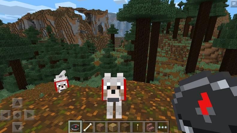 我的世界1.19.5国际版