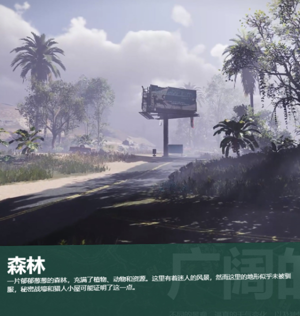 云七日世界森林场景