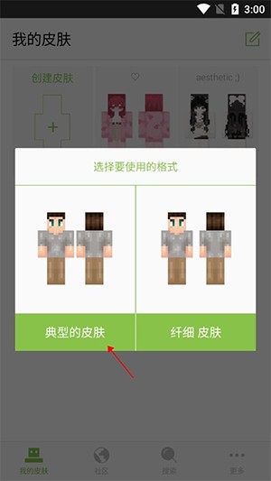 skinseed128中文版格式选择